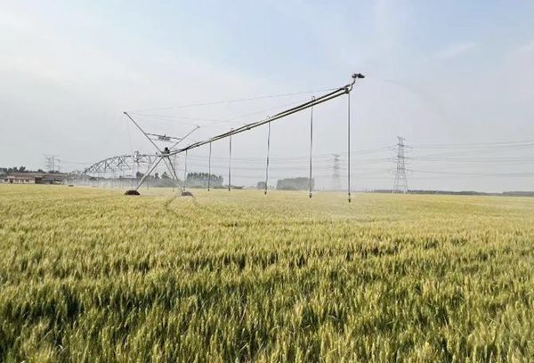 济南：水肥一体化“链”上现代高效农业