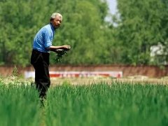 山东梳理总结打造乡村振兴齐鲁样板10种类型