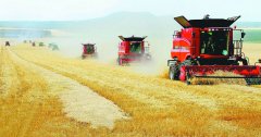 农业农村部：构建国家种业企业阵型